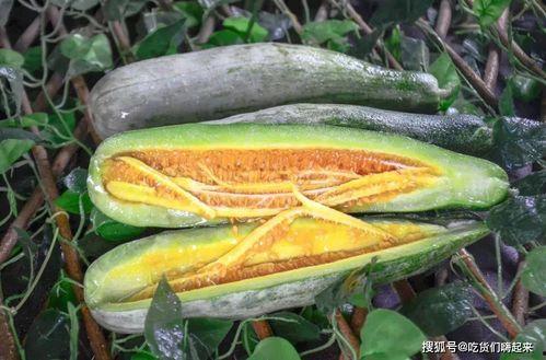 商洛网红吃瓜事件,揭秘网络舆论的风云变幻 第2张 商洛网红吃瓜事件,揭秘网络舆论的风云变幻 第2张